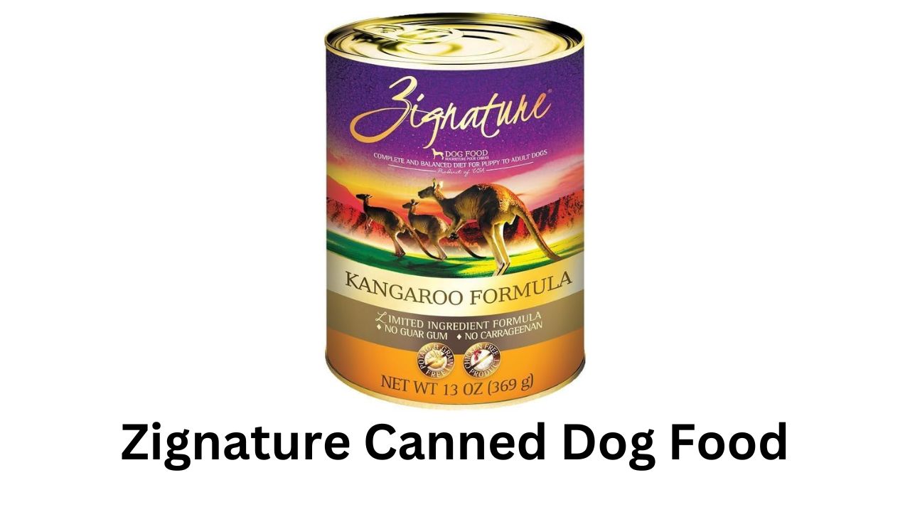 zignature canned dog food