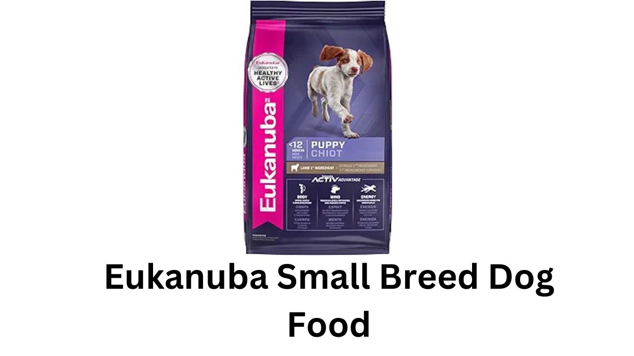 eukanuba small breed