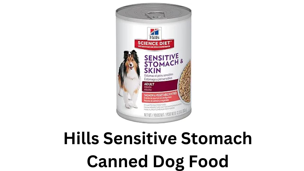 hills sensitive stomach canned dog food