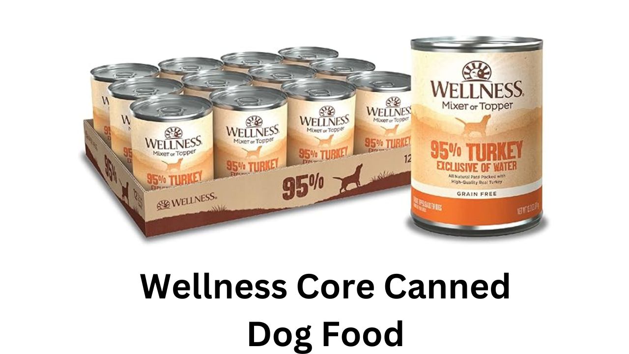 wellness core canned dog food