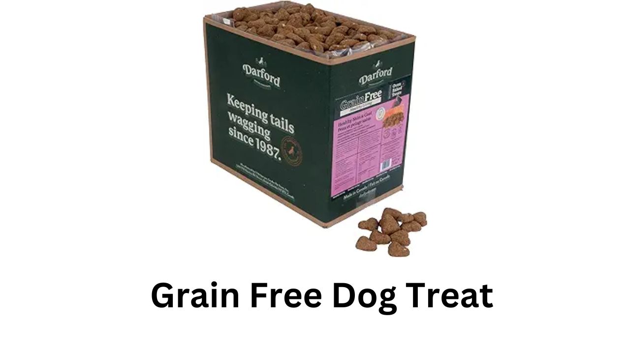 grain free dog treat