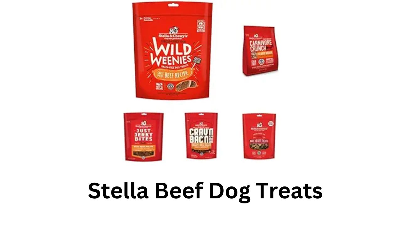 stella beef dog treats