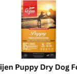 orijen puppy dry dog food