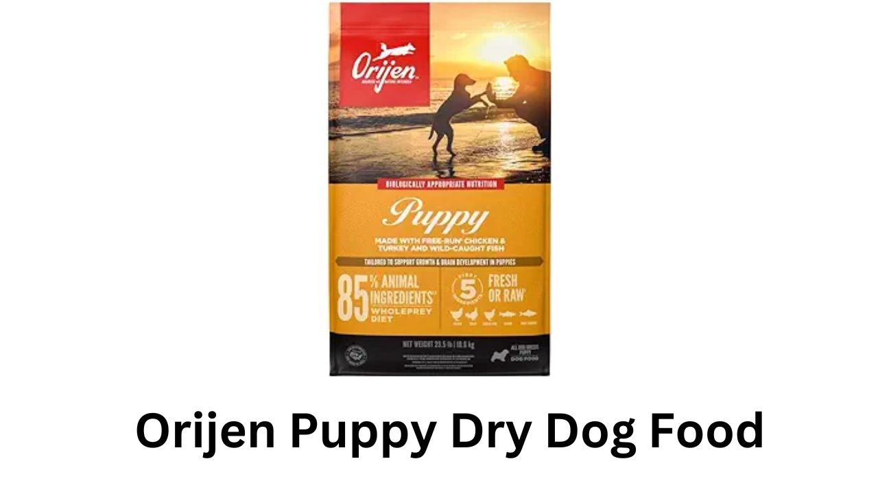 orijen puppy dry dog food