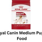 royal canin medium puppy food