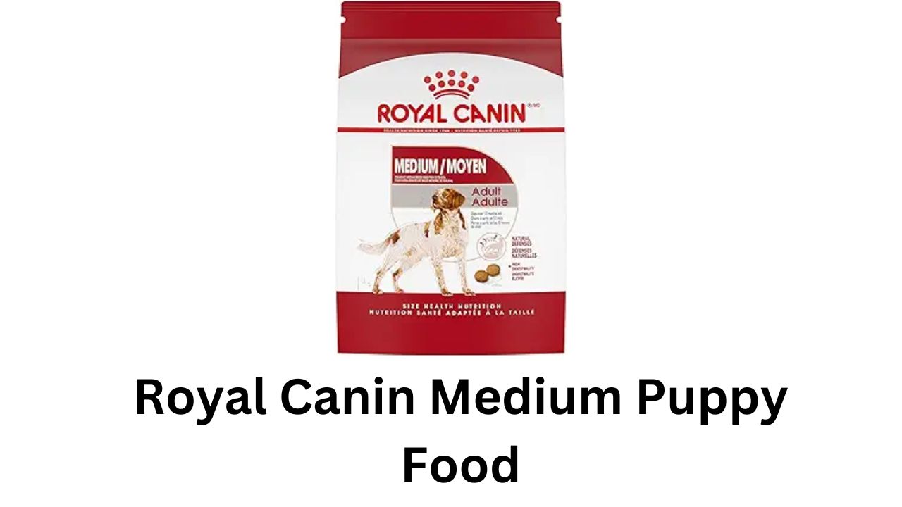 royal canin medium puppy food