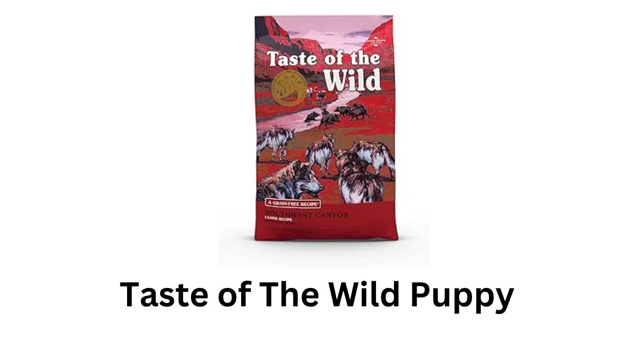 taste of the wild puppy