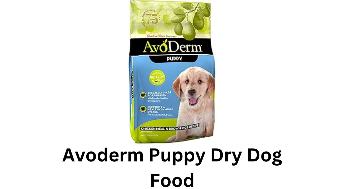 avoderm puppy dry dog food