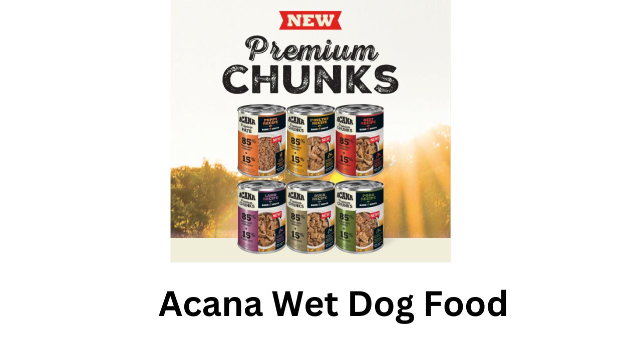 Acana Wet Dog Food