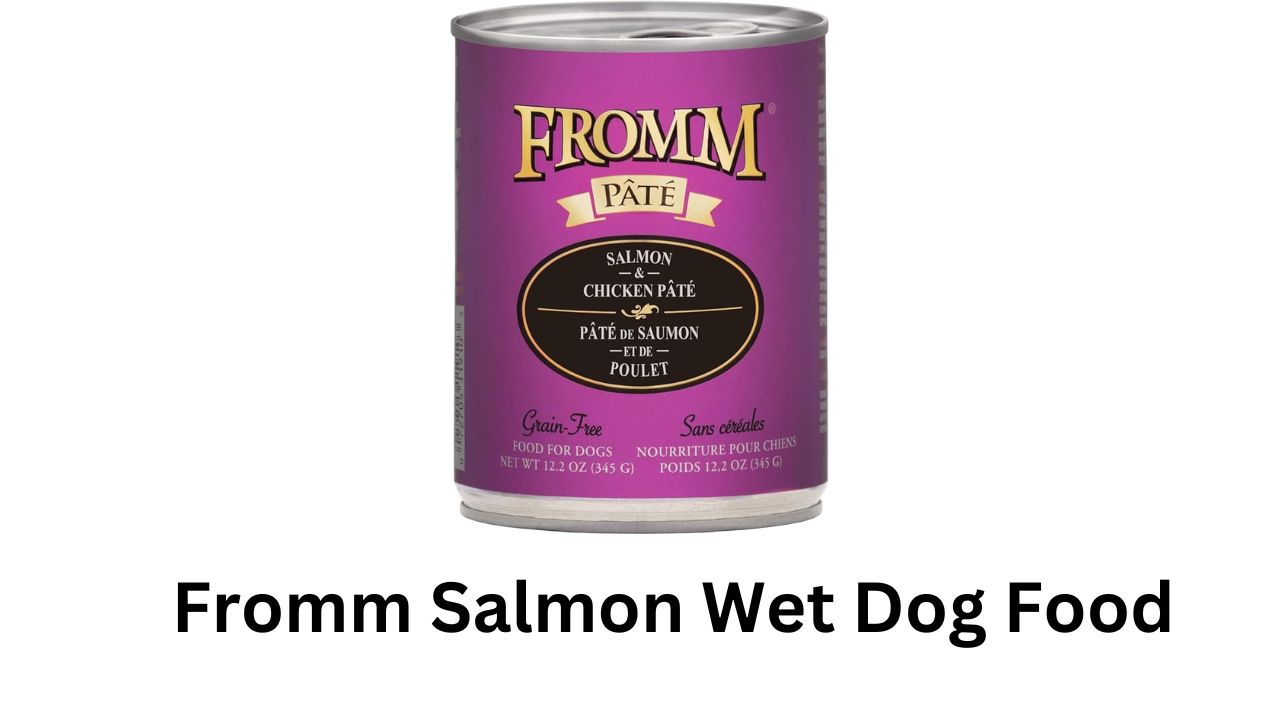 fromm salmon wet dog food