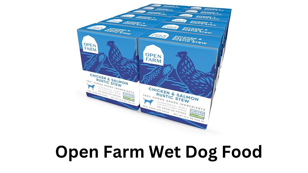 open farm wet dog food