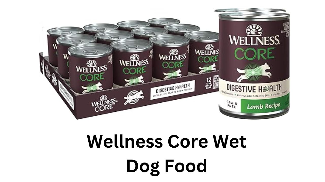 wellness core wet dog food