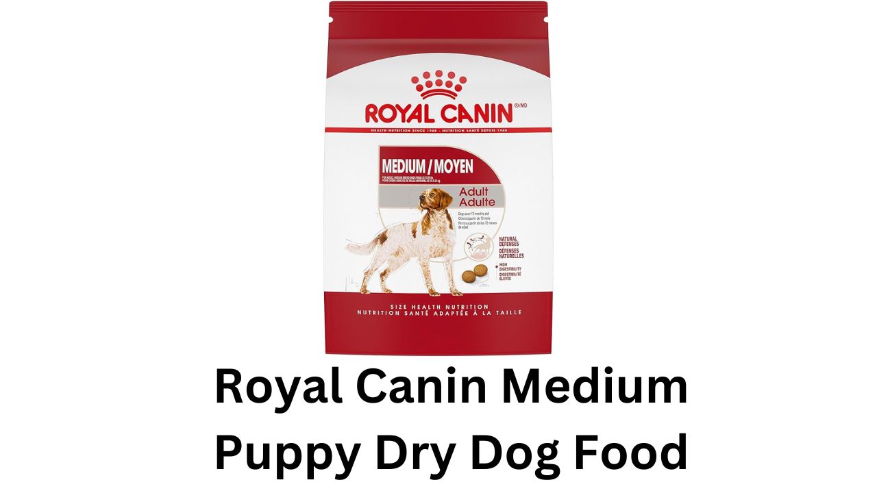 royal canin medium puppy dry dog food