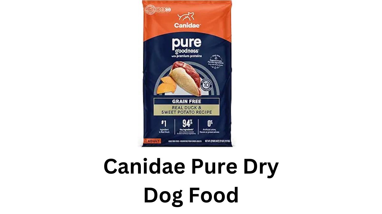 canidae pure dry dog food