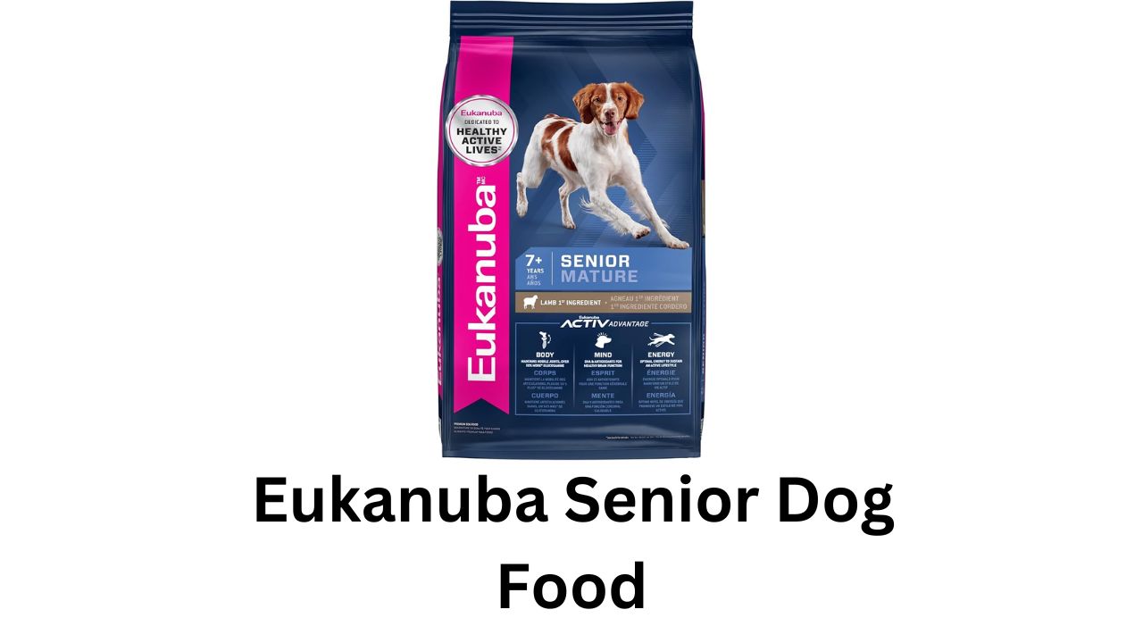 eukanuba senior dog food