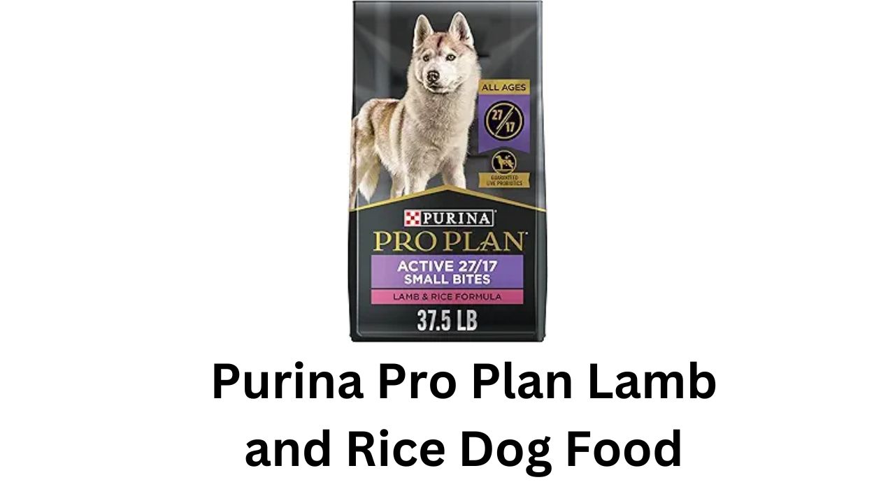 purina pro plan lamb and rice dog food