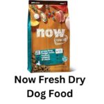 now fresh dry dog food