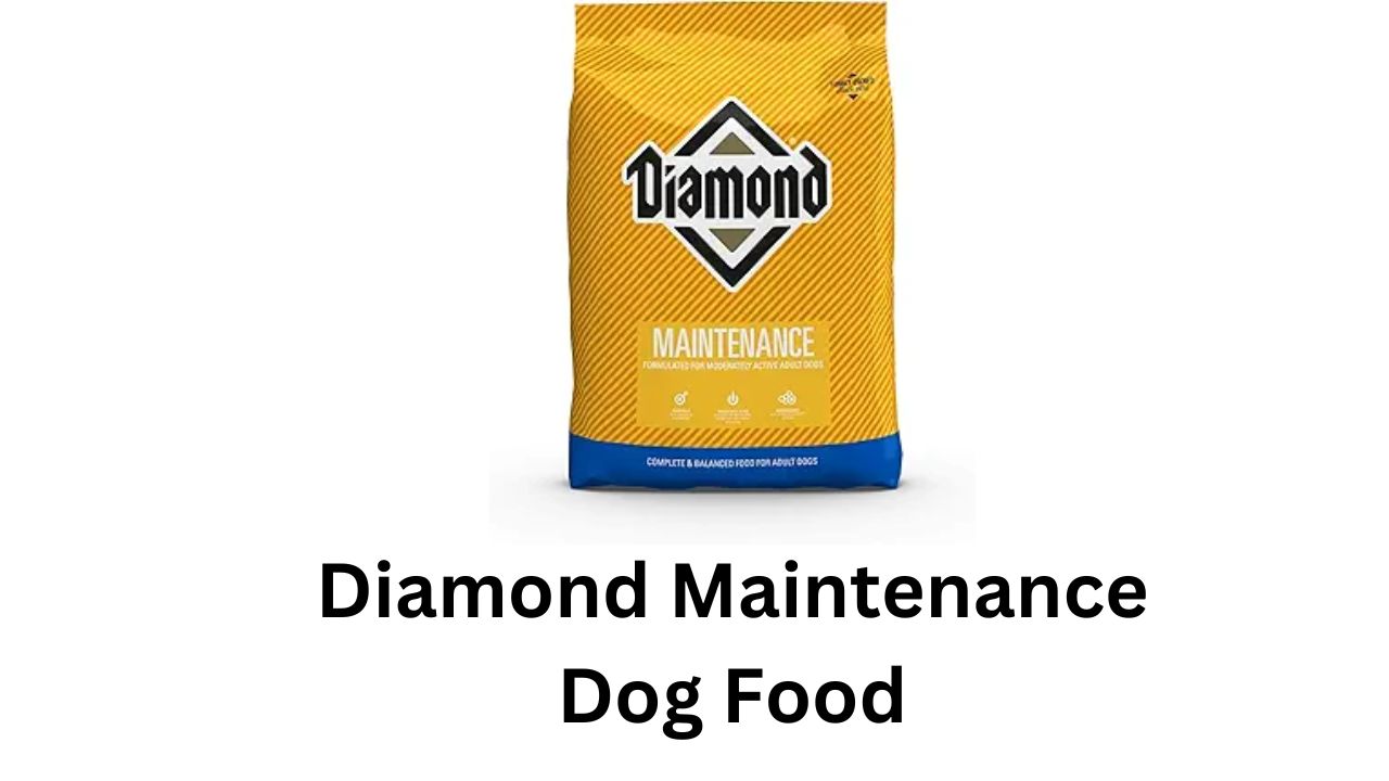 diamond maintenance dog food