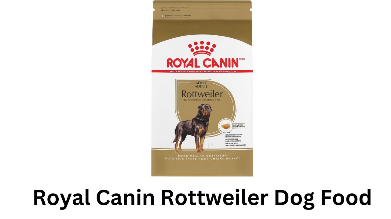 royal canin rottweiler food