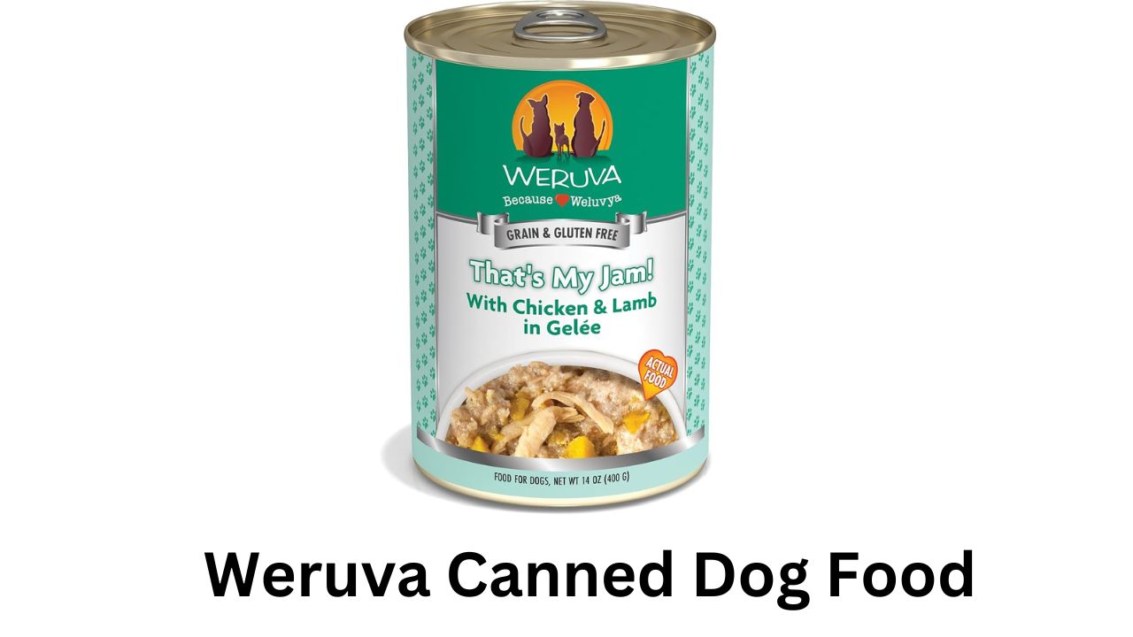 weruva canned dog food