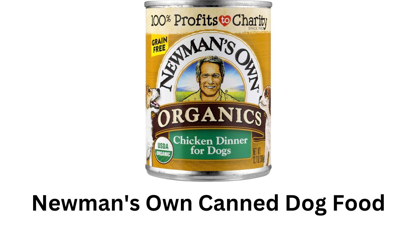 newman's own canned dog food