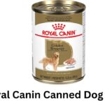 royal canin canned dog food