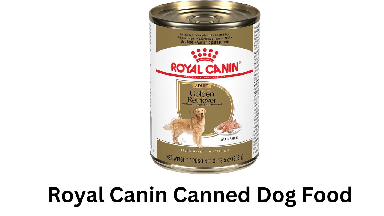 royal canin canned dog food