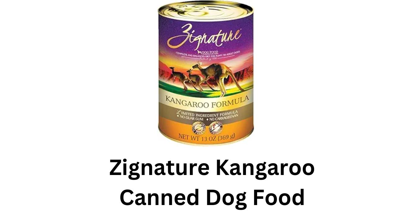 zignature kangaroo canned dog food