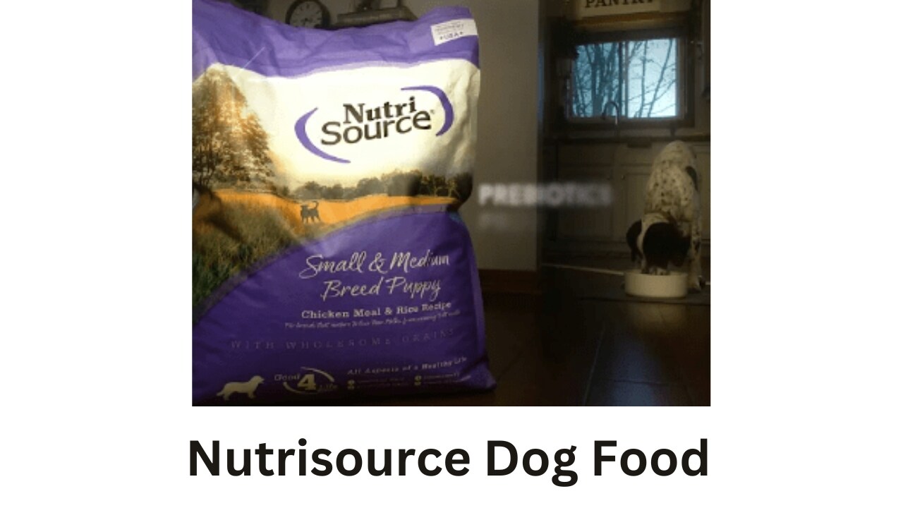 nutrisource dog food