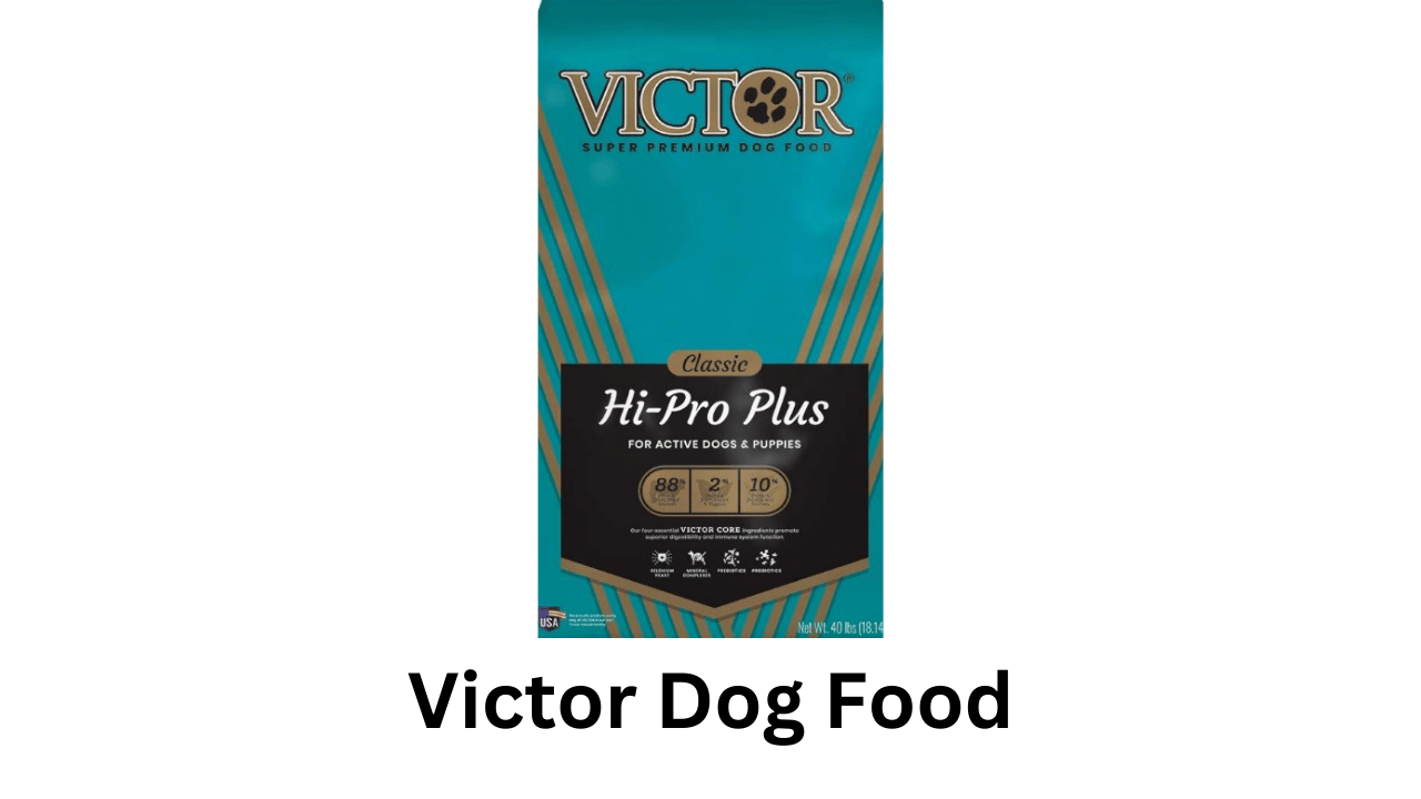 victor dog food